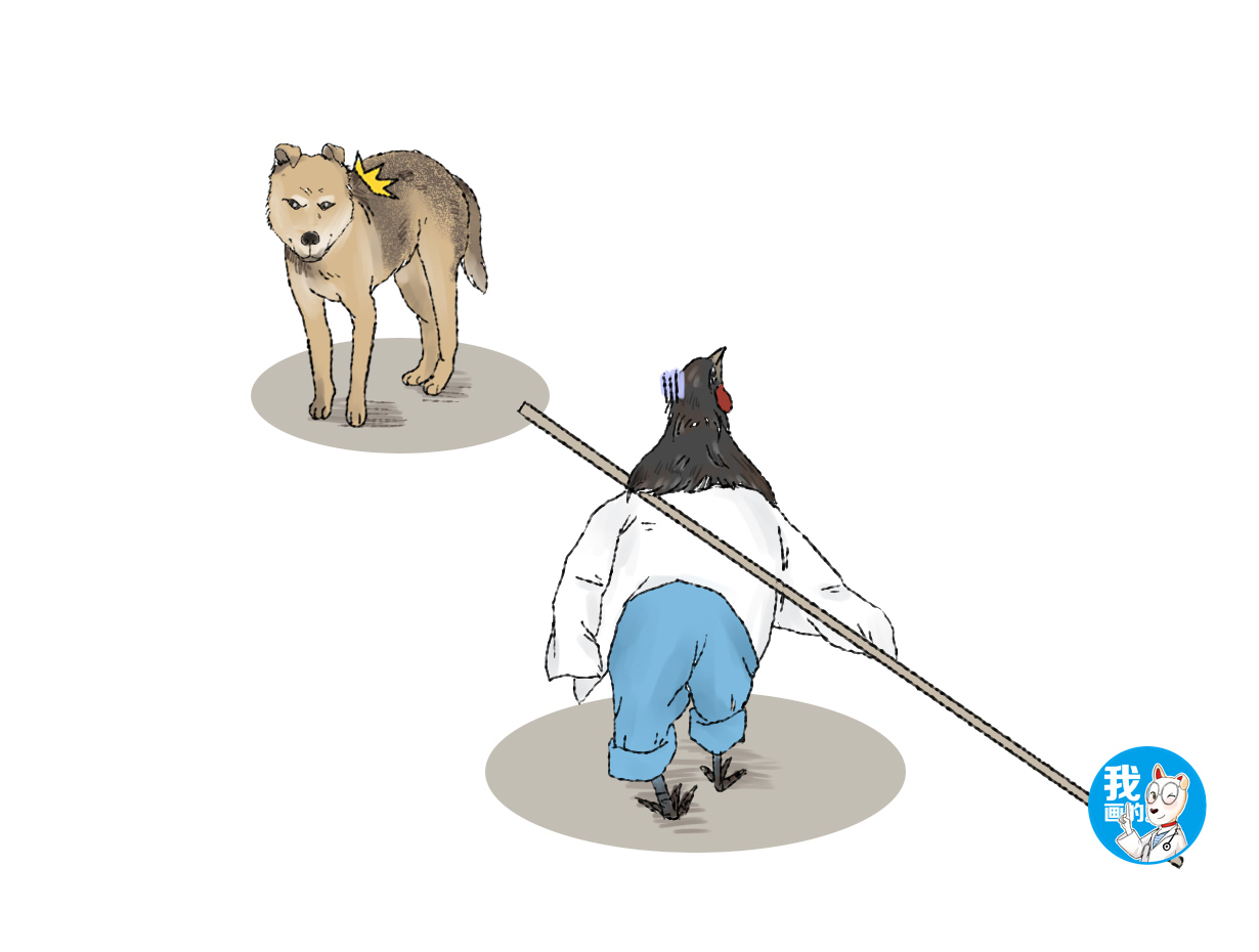 远看小孩拿着木棍想打狗刚想上前阻止走到正面一看没嘴说