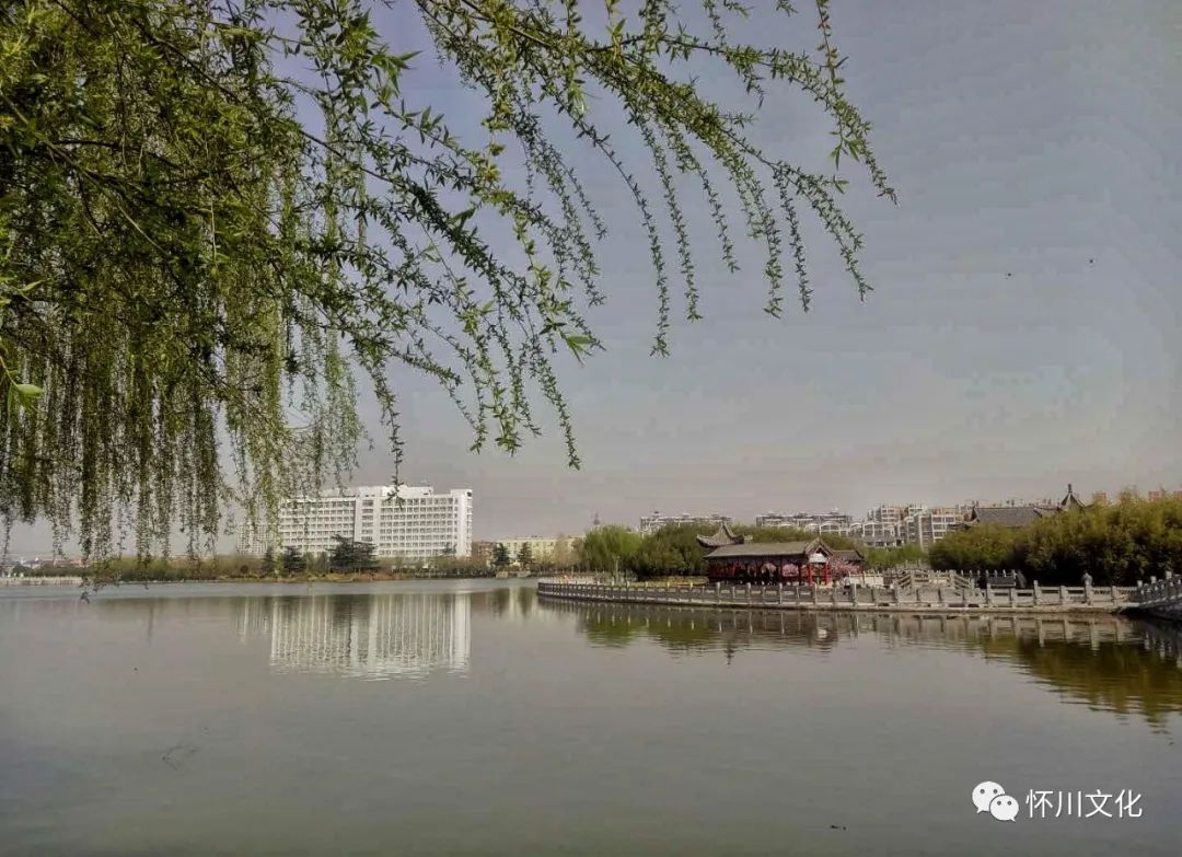 苏玉成,网名凡夫,河南省博爱县人,县城管局职工,在博爱人民公园上班