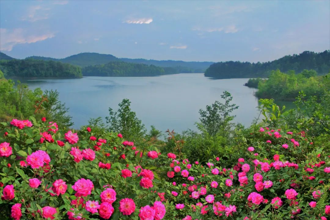 绵德一体化丨阳春布德泽万物生光辉绵阳市乡村旅游精品线路出炉快跟着