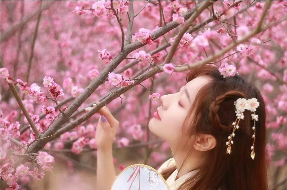 三月桃花盛开的汾河是奉节人心中的诗和远方67