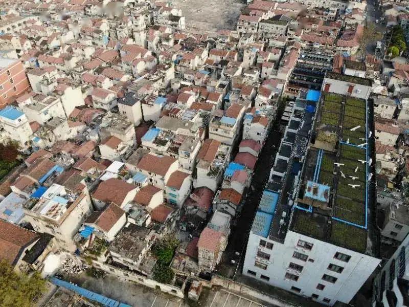 再见蜗居杨浦两处街坊旧改意愿同意率99339816