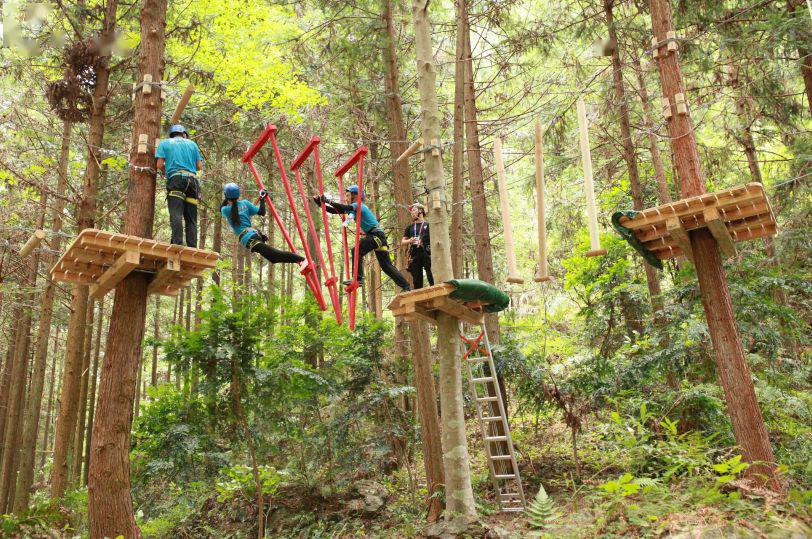 攀越丛林神仙居景区拥有国内aaaaa景区首个飞拉达攀岩项目,是浙江省