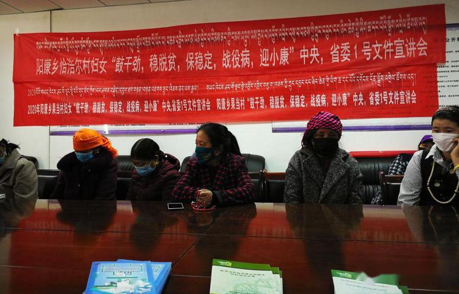 【基层快讯】天峻县各基层妇联组织宣讲中央,省委1号文件