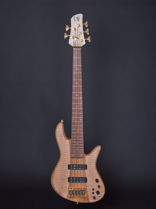 豪华帝王蝴蝶foderaemperorstandard贝斯