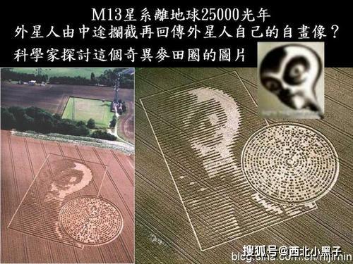 麦田怪圈也许是外星生命的某种暗示?_外星人