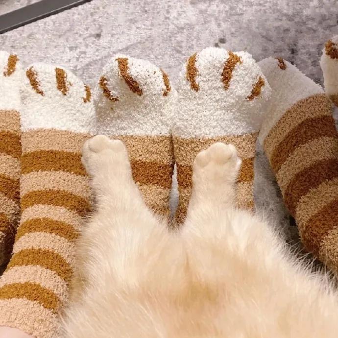 图片[20] - 【xizi被窝段子20200326】不管什么天气，记得随时带上自己的阳光 - xizi