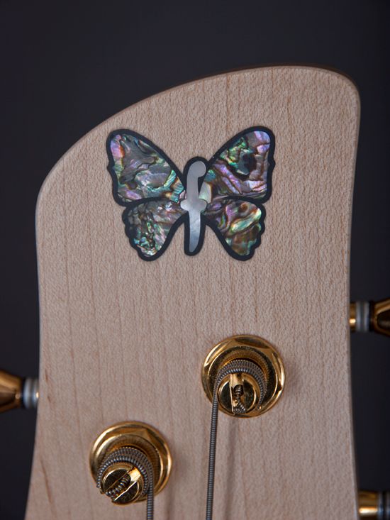 豪华帝王蝴蝶foderaemperorstandard贝斯