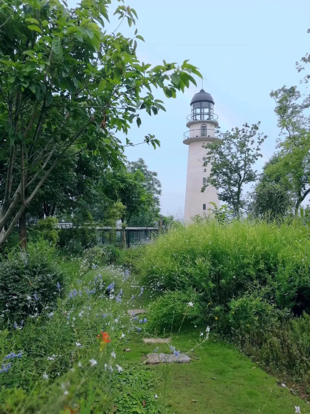 相比較其他公園,金海灣公園真的 超適合野餐了,因為剛一進入公園就