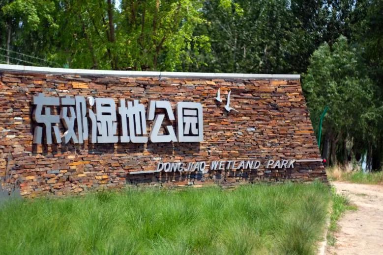 云游通州春姑娘来了东郊湿地公园又添新晋网红打卡地
