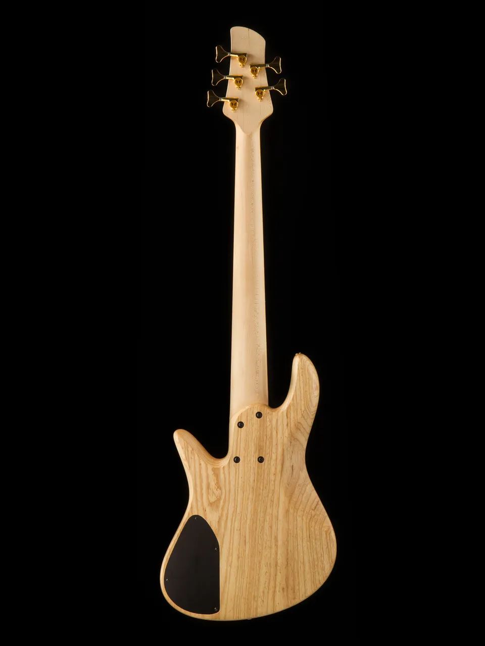 豪华帝王蝴蝶foderaemperorstandard贝斯