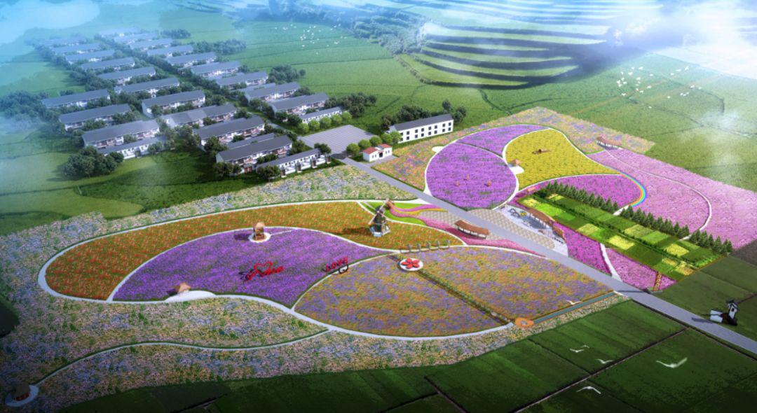 宝鸡最新最全油菜花田推荐这个春天畅游花海全靠它让你被金灿灿包围