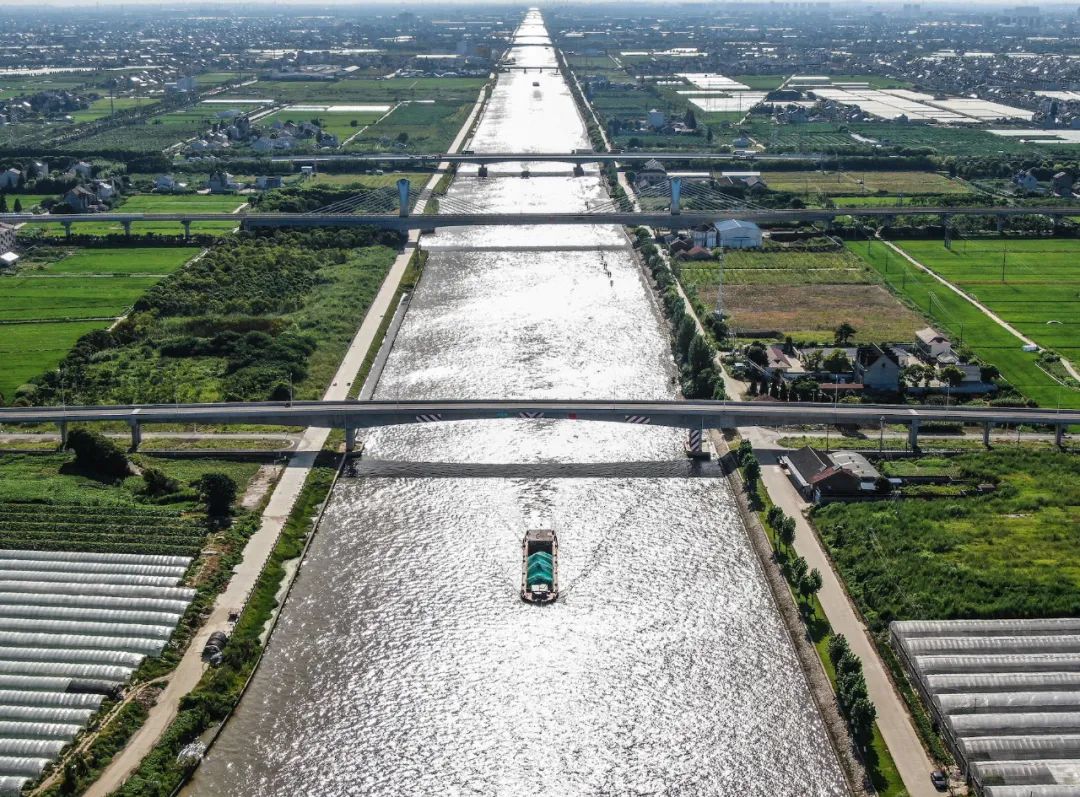 2019年浦东推进143项重大工程完成投资超225亿元