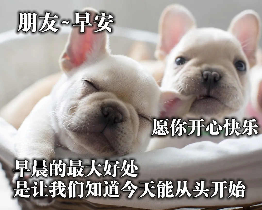 早上好唯美图片今日早安祝福阳光句子