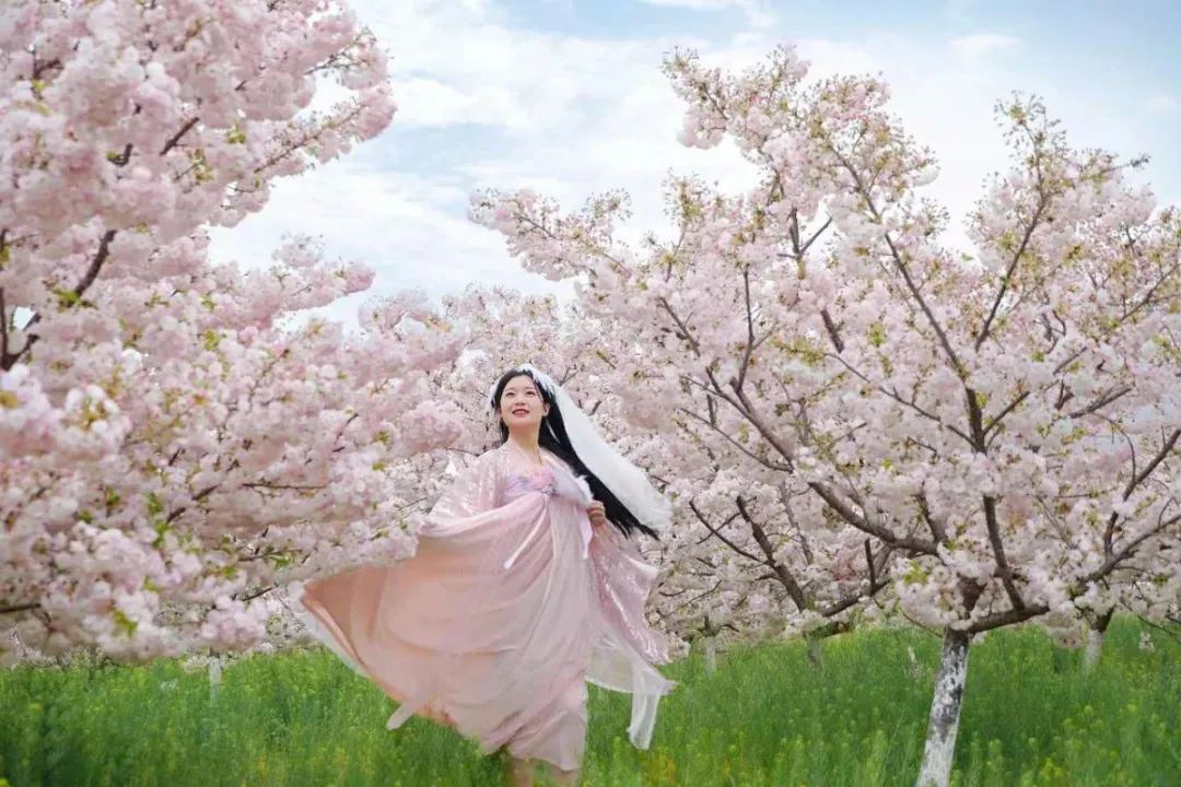 玩爽尝鲜团抢票最后一天家门口的赏樱胜地不可不去