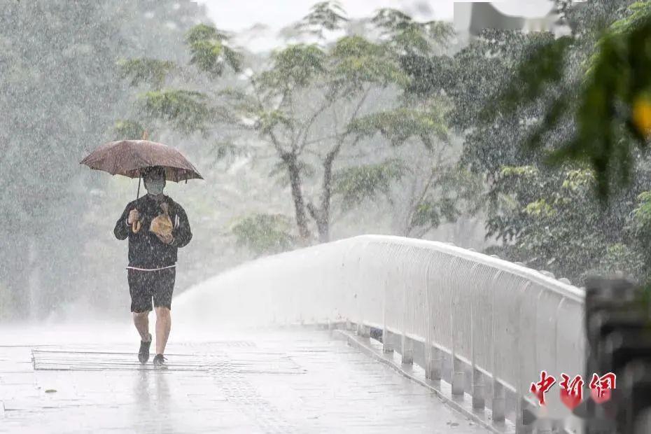 下雨刮风的图片唯美图片