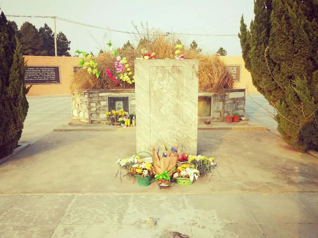 海子纪念活在珍贵的人间朝向一颗星星奔涌流泪