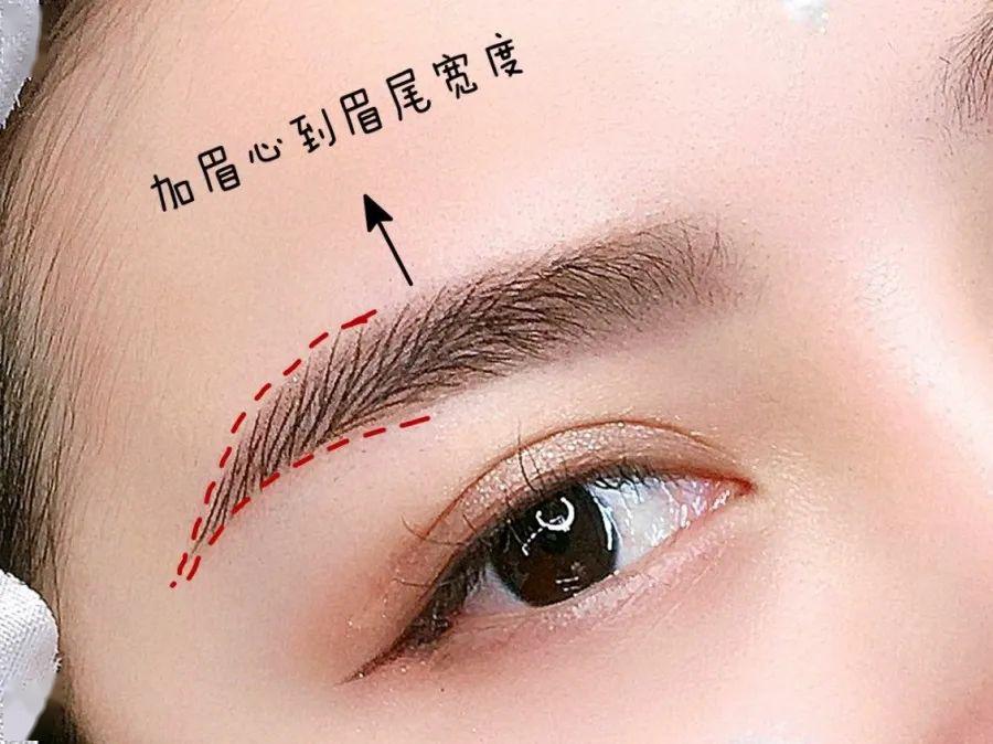 大肚子眉眉头比较大,眉尾较小方法:只需把眉毛较