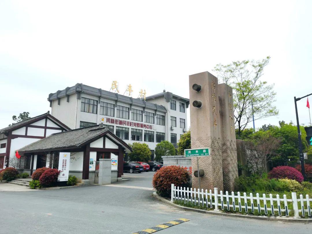 余杭这个村登上全国榜单!另有16个村社获得省级荣誉!_星桥街道
