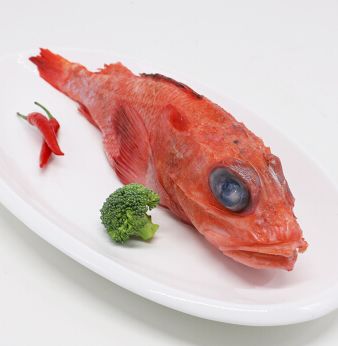 喜知次魚(金吉魚)