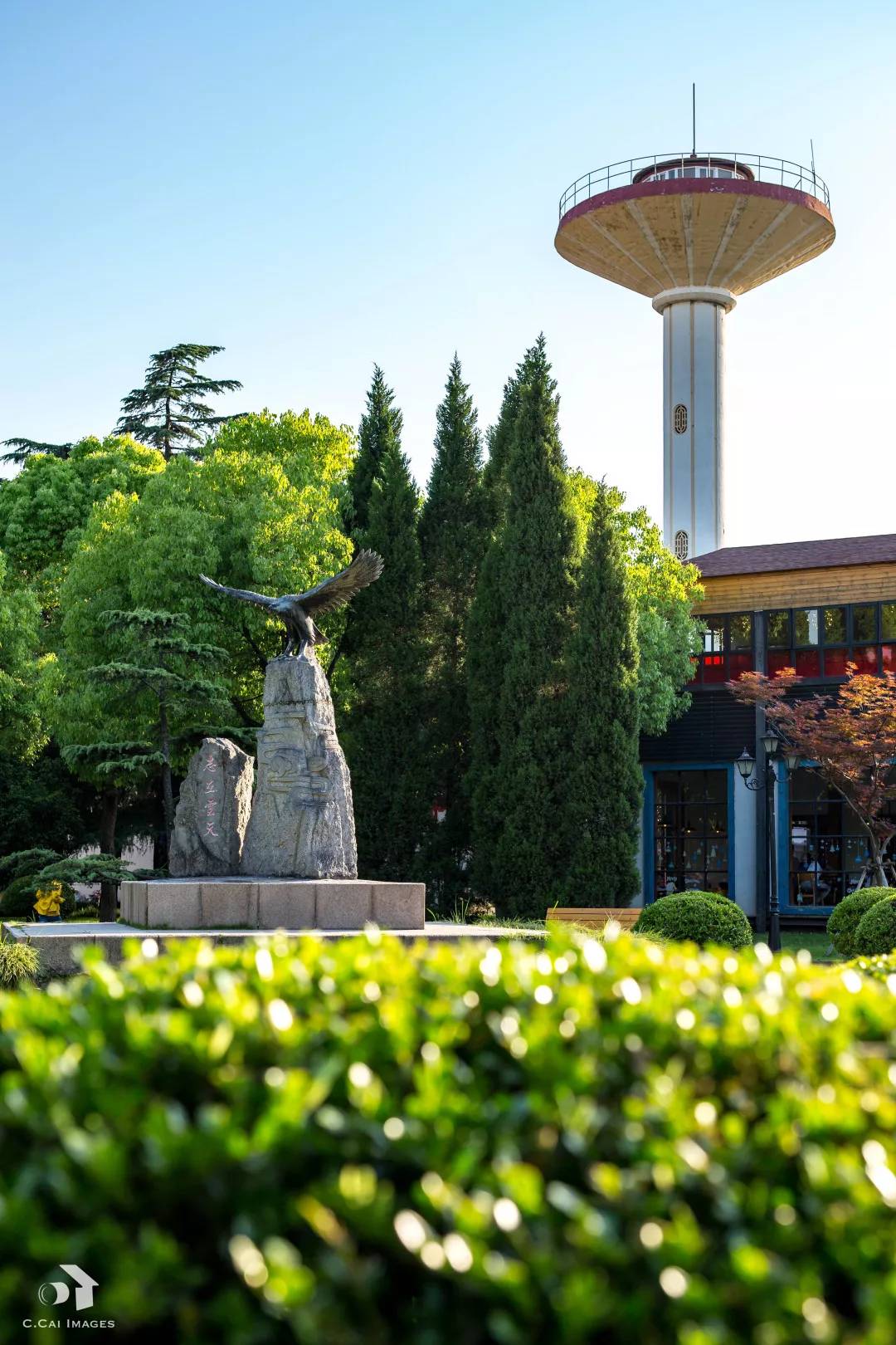 上海财经大学国际教育学院sqa项目详解