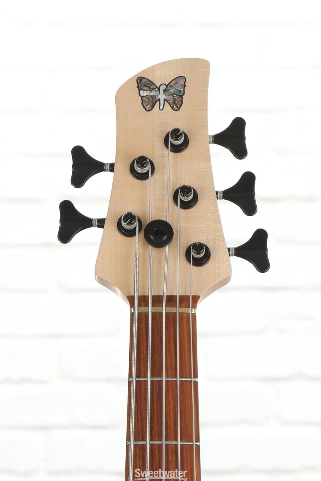 豪华帝王蝴蝶foderaemperorstandard贝斯