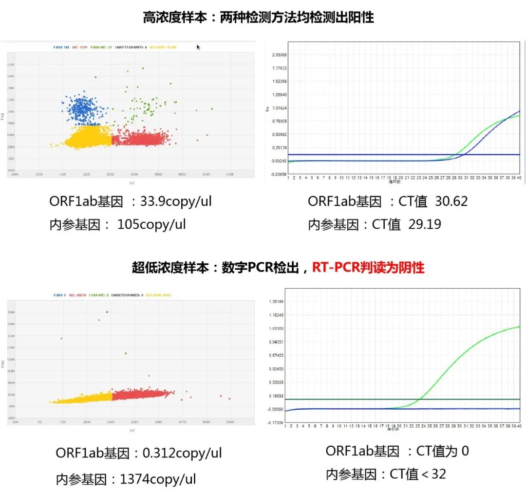 核酸检测结果示意图图片