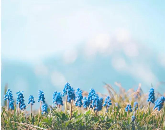 图片[9] - 【xizi被窝段子20200326】不管什么天气，记得随时带上自己的阳光 - xizi