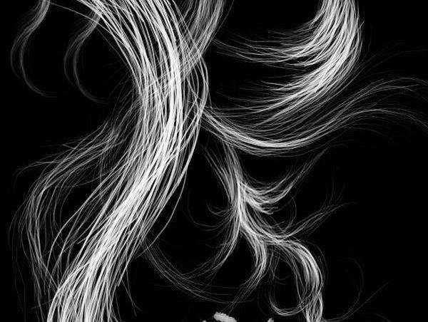 白发的原因