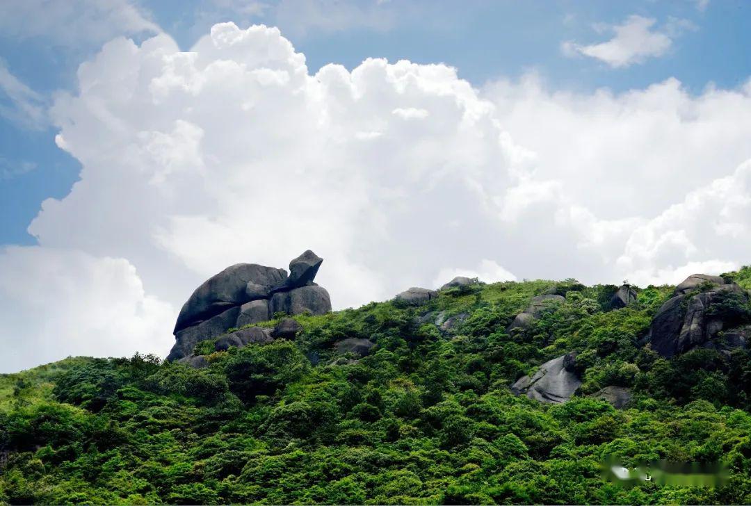 行至舜源峰,娥皇峰山頂,九嶷山國家森林公園是國家級天然氧吧,花開