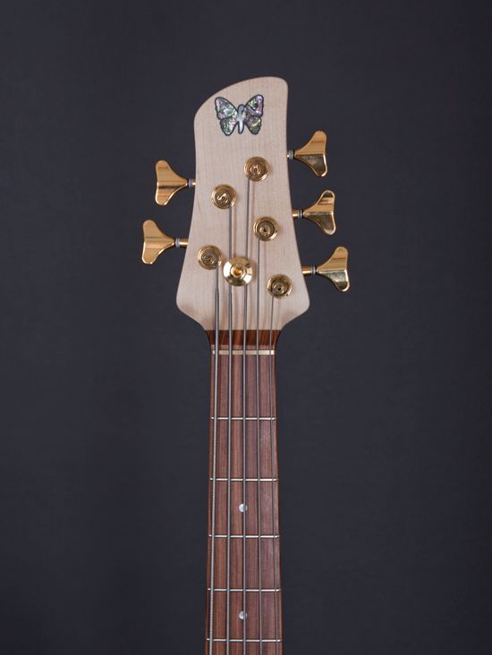 豪华帝王蝴蝶foderaemperorstandard贝斯