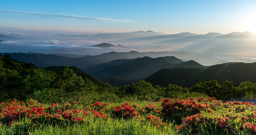 市场还是老样子但家电厂商却飘了?急于求成抢单,乱搞一通丢信誉-家电圈官网