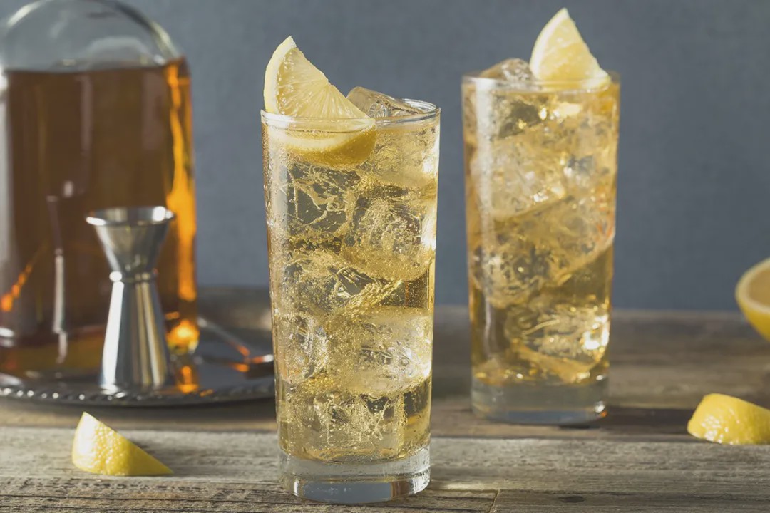 我一般只会点两种鸡尾酒:莫斯科骡子(moscow mule)和highball