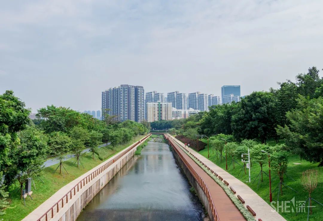 布吉河『美景藏在绿道旁』深圳的绿道多隐于山林之间充满神秘感深圳有