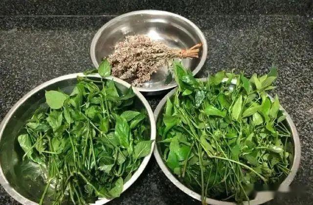 特产:横县茉莉花茶,横县土特产,横县大粽,横县木瓜丝等等····今日