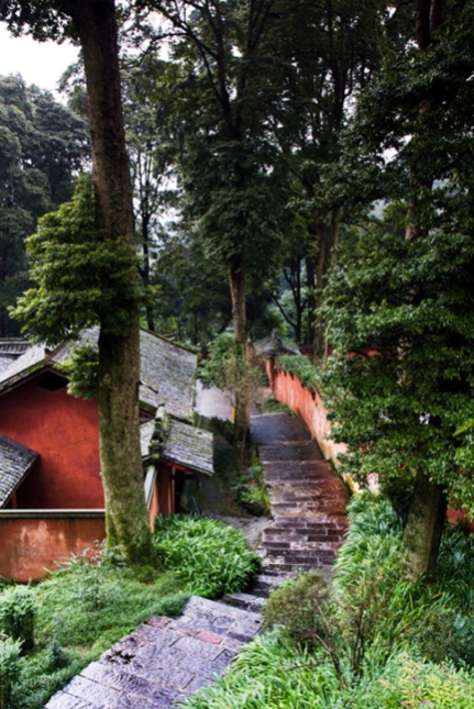 【問禪】伏虎寺憶貫之和尚_峨眉山