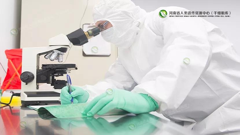  北京日报丨干细胞疗法 击败病魔的新思路——干细胞储存
