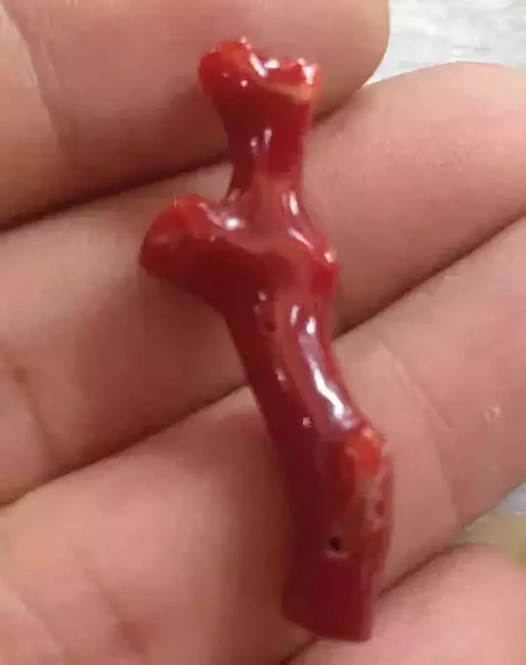 你的红珊瑚居然发暗变旧还褪色了?
