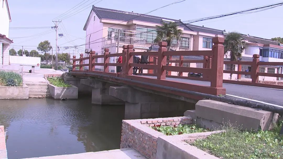 常熟这个小村庄发生了什么?让城里人都想搬回来住!