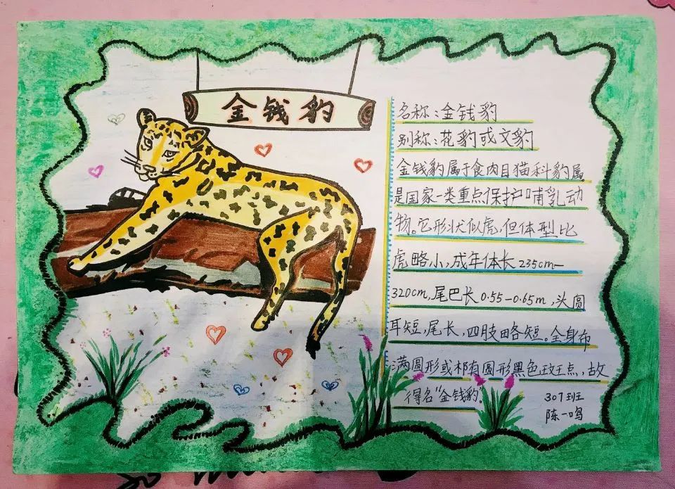 这次的疫情虽然有可能是蝙蝠身上携带的病毒引起的,但这可不是野生