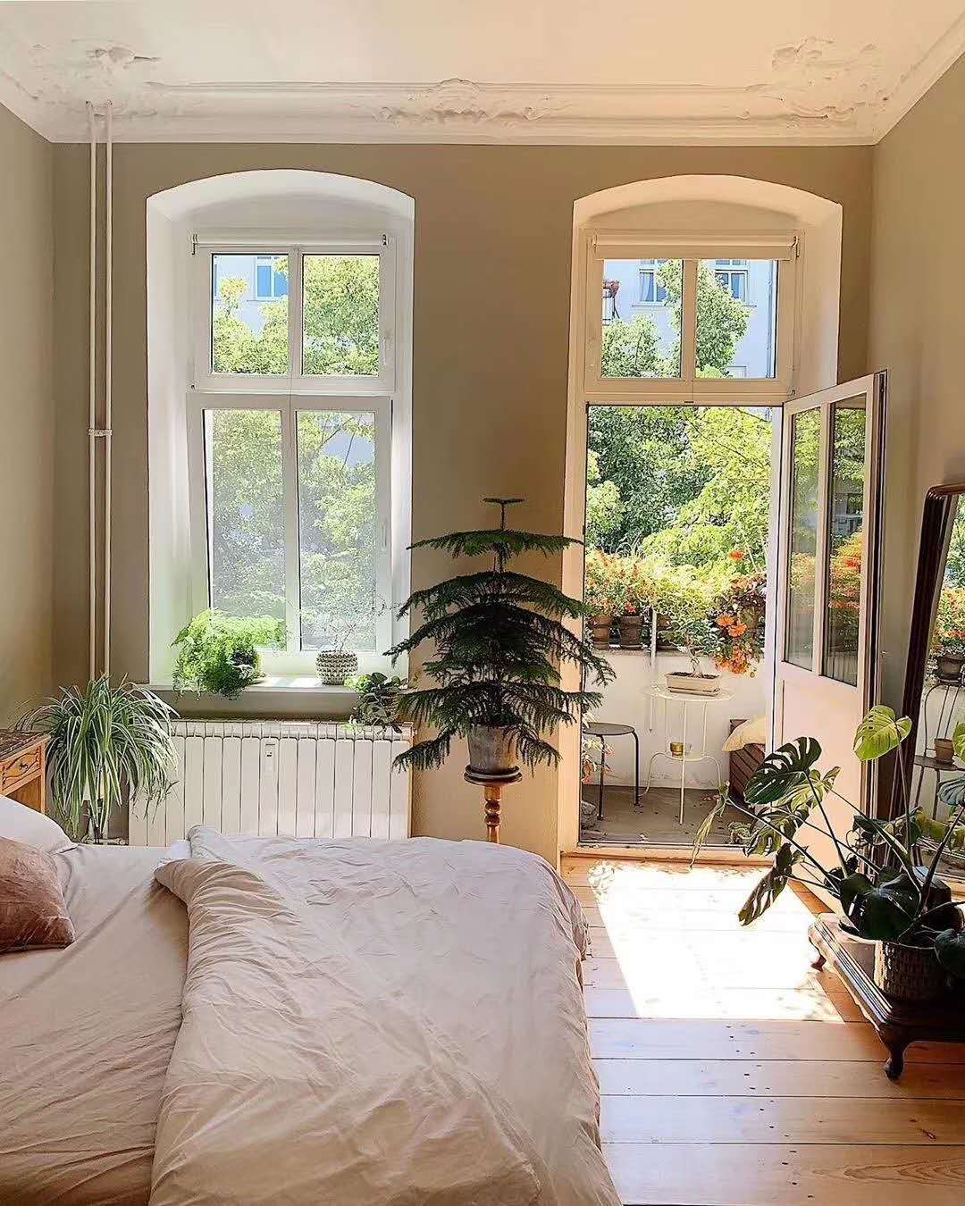 阳光洒满家园 绿意点缀新居 住这样房子心情都明快