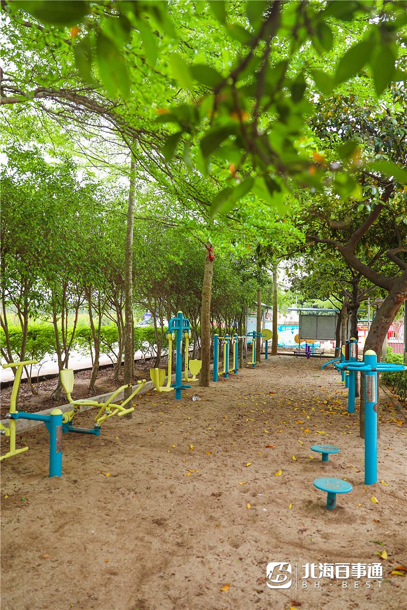 北海这个拥有5种语言的村落,三月三居然这样过!_东山