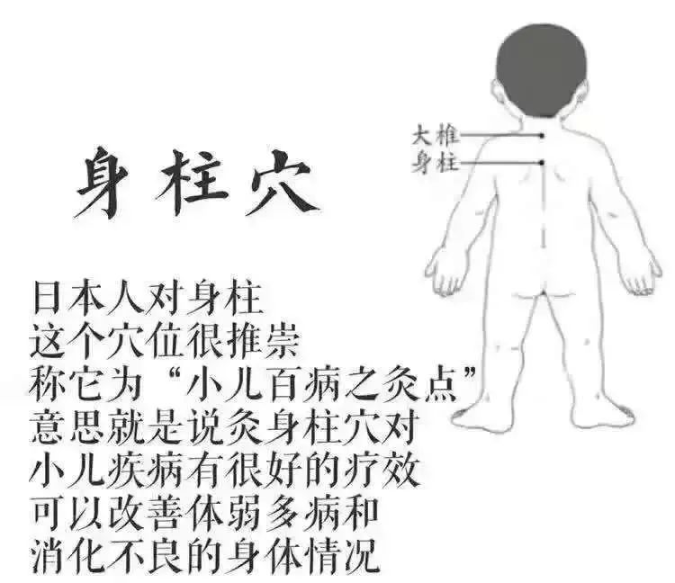 小孩子的身柱位置图图片