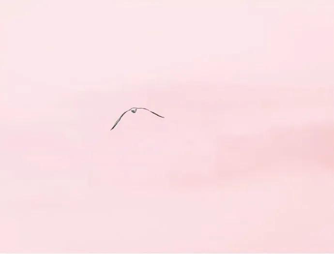 图片[8] - 【xizi被窝段子20200326】不管什么天气，记得随时带上自己的阳光 - xizi