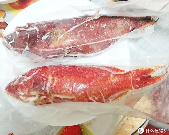 1.燕尾斑/燕尾星斑