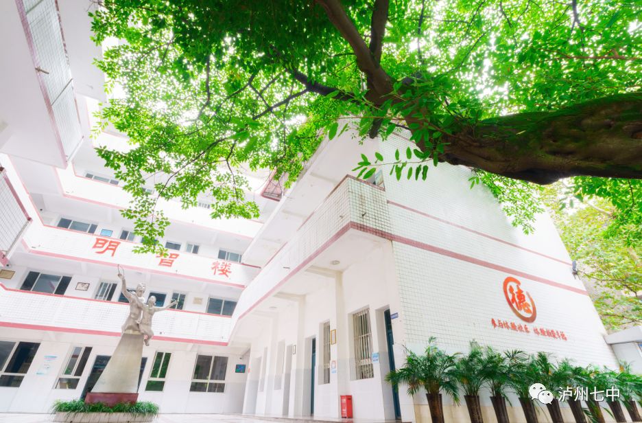 你认真的样子真的很美记泸州七中线上教学