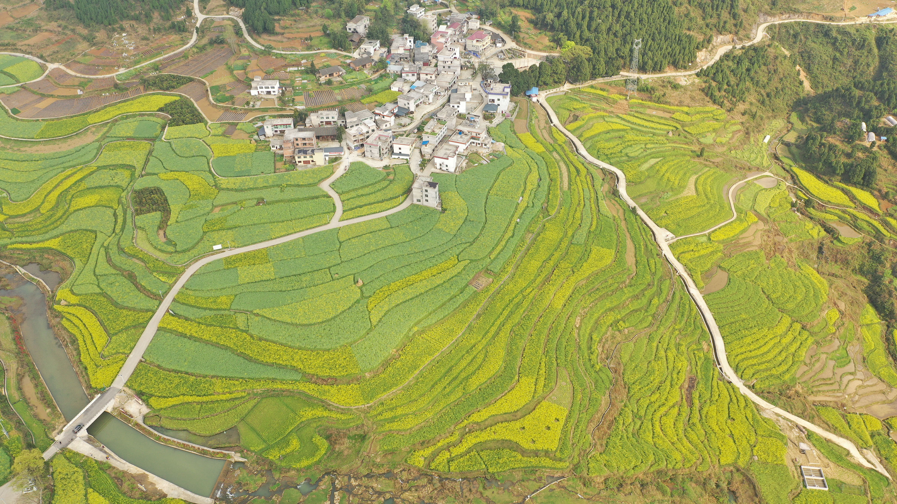 贵州玉屏:油菜花开乡村美