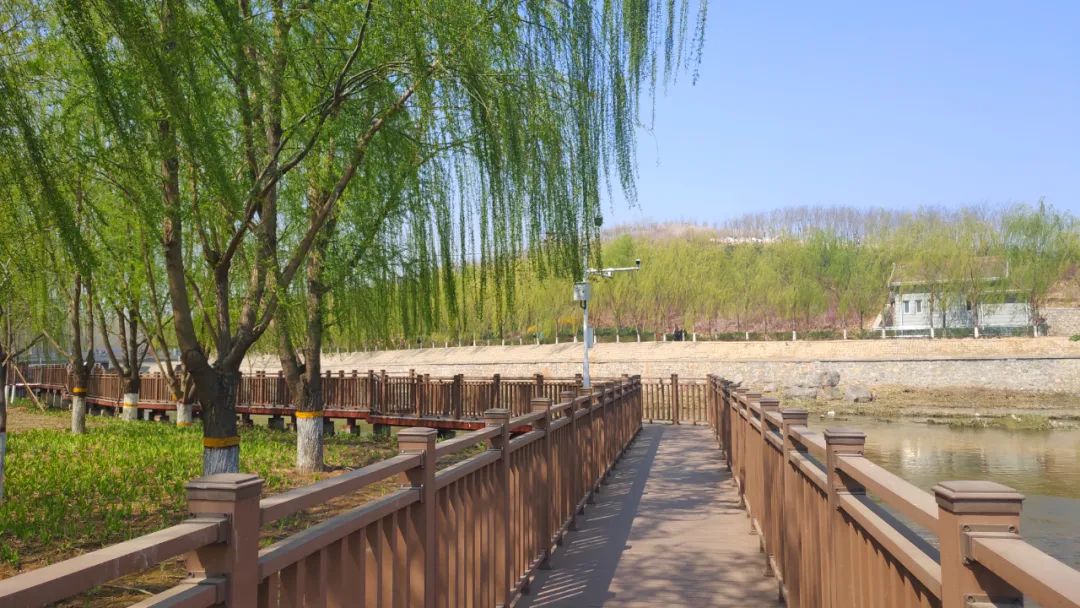 石家庄西三环有个野趣满满的湿地公园