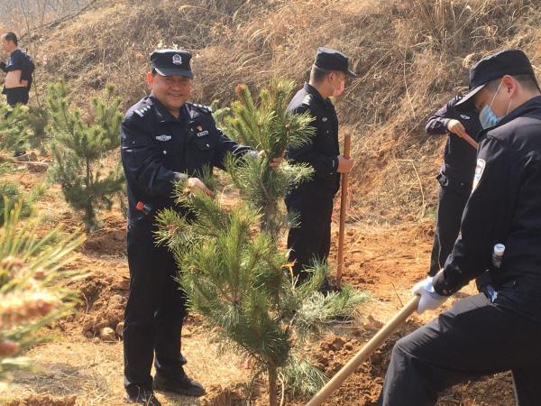 延安:植树造林 共建美丽洛川