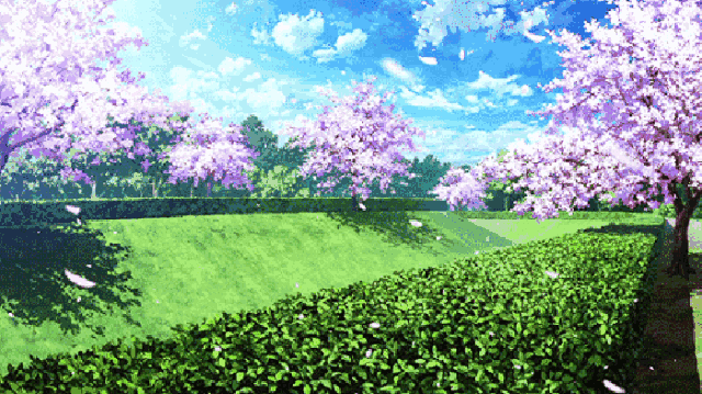 640_359gif 动态图 动图