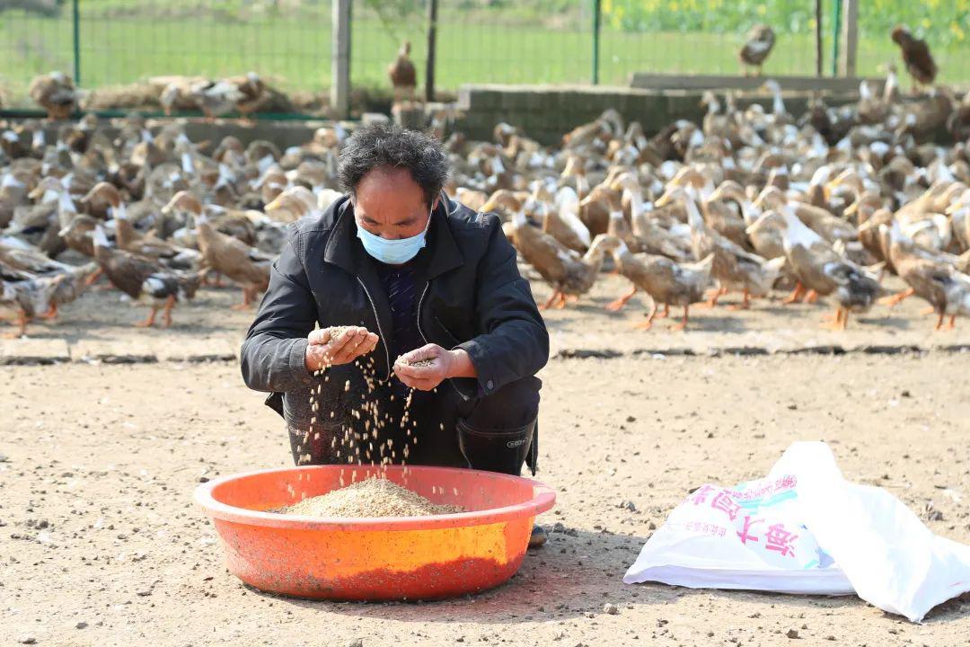 乡村环境"靓"起来—铜陵市公安局持续帮扶枞阳县项铺镇边山村结